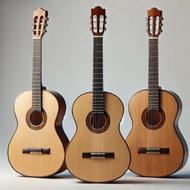 گیتار وارداتی مارتینز، کوردوبز، پاوچیا، رودریگویز