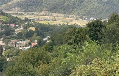 فروش زمین مسکونی 500 متر در روستای سلیم شیخ