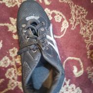 کفش ................