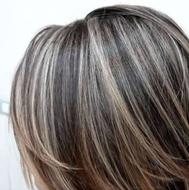 نیازمند مدل