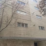 145.5 متر در دامپزشکی