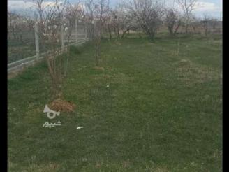 زمین روستای نبرین