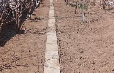 زمین وباغ دیوار شده بادرخت بارده