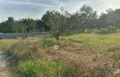 فروش زمین باغی