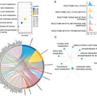 آموزش هوش مصنوعی و برنامه نویسی