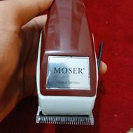 دو عدد موزر آلمانی