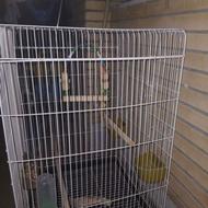 قفس پرنده سفیدرنگ