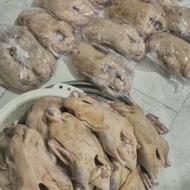 اردک پاک کرده اماده