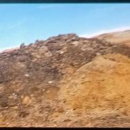 کود گوسفندی