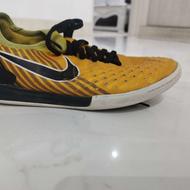 کفش سالن سالم