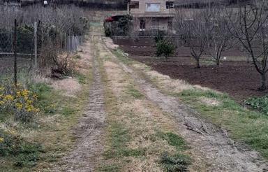 فروش زمین ویلایی 660 متر در راهبند روستای امره