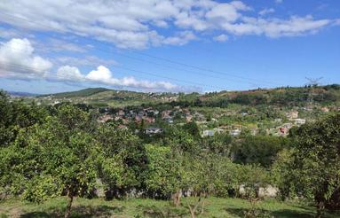 زمین ویلایی با مجوز ساخت ویلا