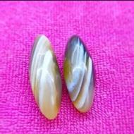 مهره.سلیمانی