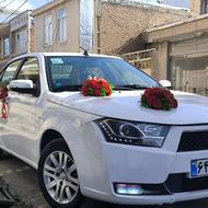 دنا معمولی مدل 98