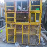 قفس کبوتر ...