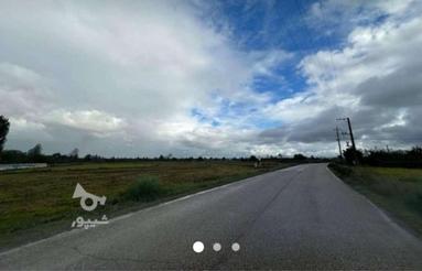 زمین مسکونی و کشاورزی نزدیک جاده به متراژ 200متر روستای تلور