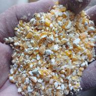 ذرت چهار پر مرغی