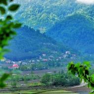 مشارکت در کافه رستوران