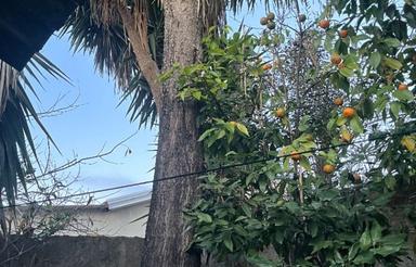 160 متر زمین با دسترسی عالی در رینگ داخلی