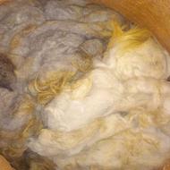 پشم گوسفندی