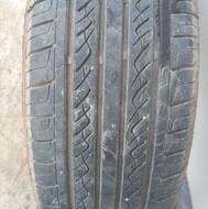 لاستیک سمندی