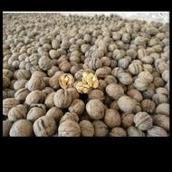 گردو پوست کاغذی یک دست سفید