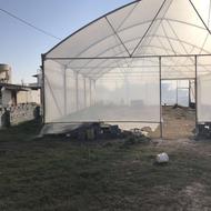 گلخانه صنعتی