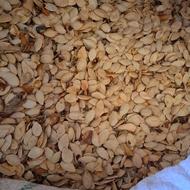 فروش تخمه آفتاب گردان و تخمه کدو