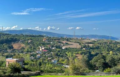 700 متر زمین جنگلی سنگبن | ویو ابدی جنگل | نزدیک ساری