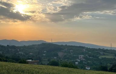 250 متر زمین ویودار سنگبن | دید کامل ساری و شالیزار