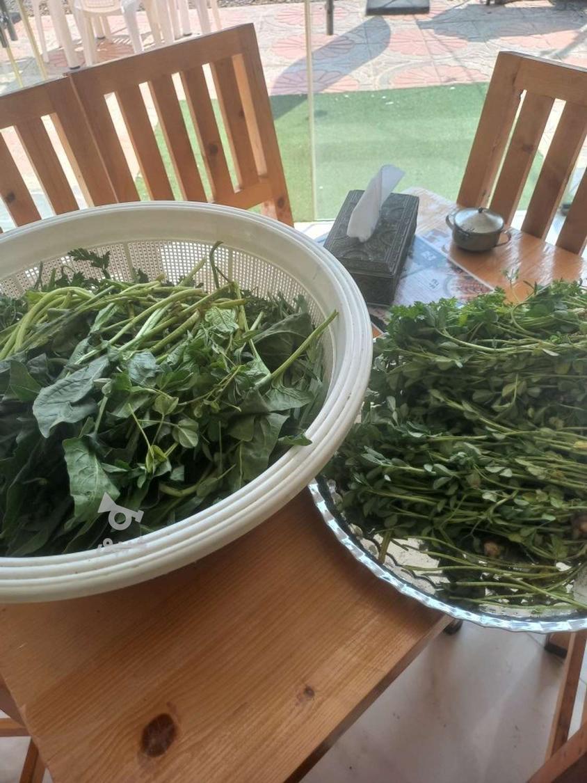 آماده سازیی غذا وهر گونه کار منزل وسرخ کردن مواد غذایی.....