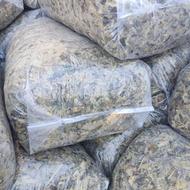 ذرت علوفه (سیلو)