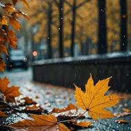 خدمات تمیز کاری