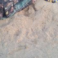 کاه میخرم هر تناژی یکجا پرداخت میکنم