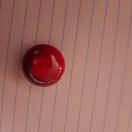 سنگ مرجان قدیمی