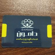 نگهدار سالمند