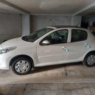 207 پانا خشک ارتقا1404