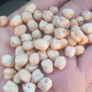 نخود خوب 3تن کرمانشه بیجاری هست