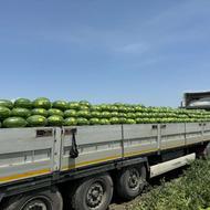 سرمایه گذار کشاورزی