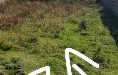 ملک شروع به ساخت