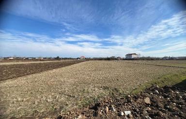 فروش زمین باغی 1290 متر بر اتوبان جدید