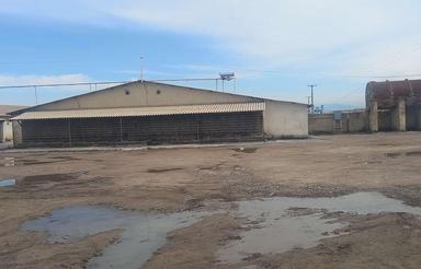 مرغداری دوسالن30هزارتایی