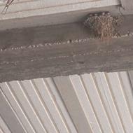 مصالح ساختمانی خان