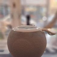 اسپیکر برای مغازه