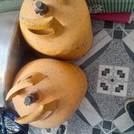 کپسول سالم و تمیز