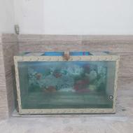 اکواریوم شیشه 10 میل