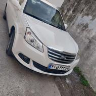 تک برگ سند درحدخشک