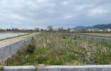 فروش زمین 300 متر در کلاچان