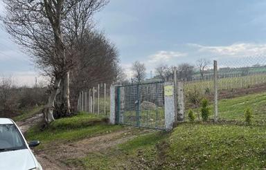 زمین 400متری با چشم‌انداز زیبا در امره/شرایطی عالی