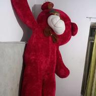 خرس ولنتاین سالمه سالم